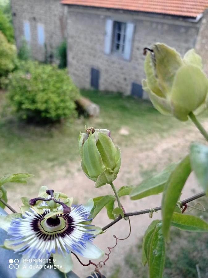 Ferme De Fenivou Villa Boulieu-les-Annonay Dış mekan fotoğraf
