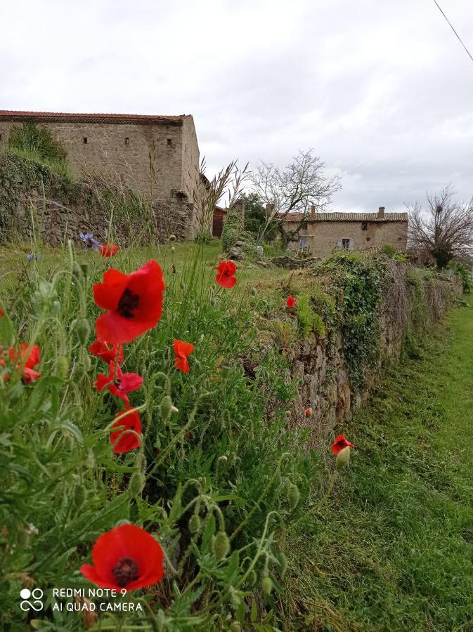 Ferme De Fenivou Villa Boulieu-les-Annonay Dış mekan fotoğraf